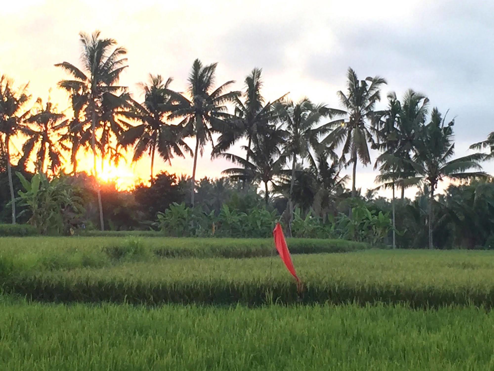 Suly Vegetarian Resort & Spa Ubud Exteriör bild