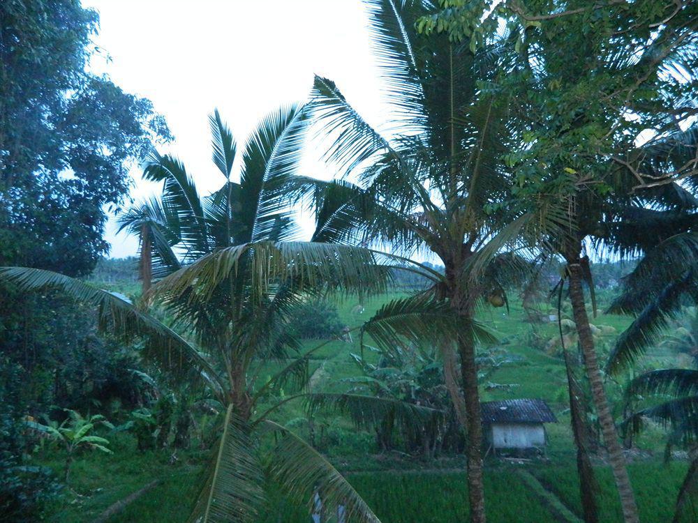 Suly Vegetarian Resort & Spa Ubud Exteriör bild